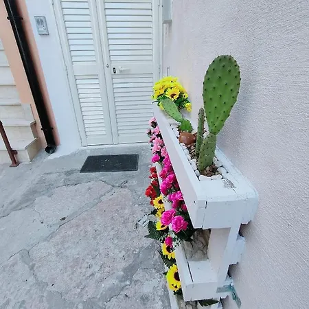 La Culla Sul Mare In Centro * Manfredonia